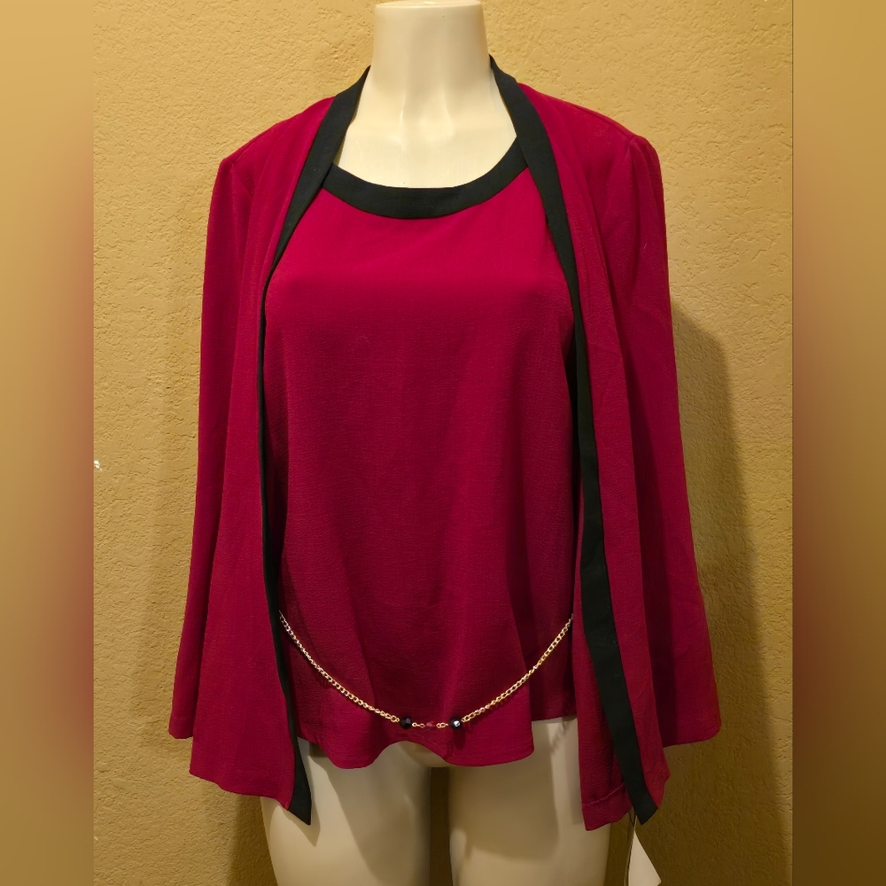 Ultra Dress blouse NWT sz 12p      m42t